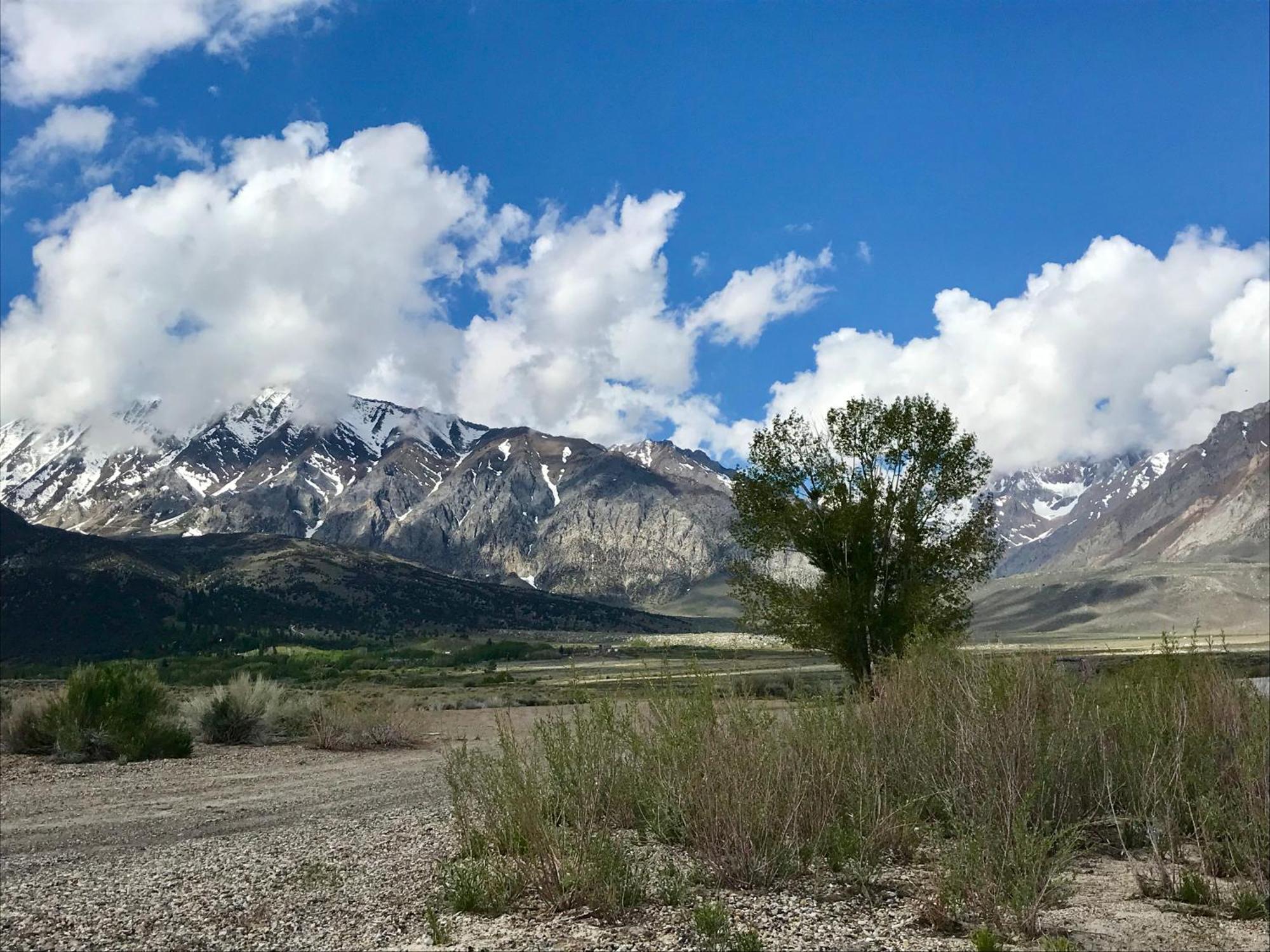Vila Mountainback #73, Den Mammoth Lakes Exteriér fotografie